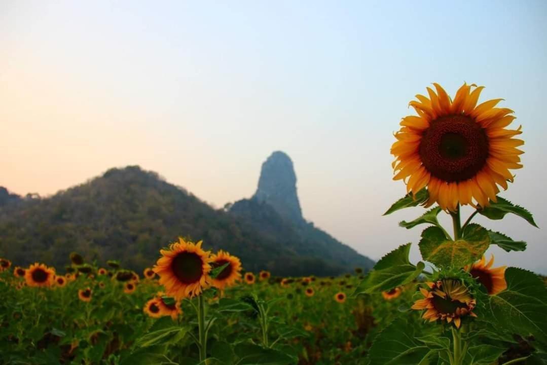 Pee Homestay Lopburi Ban Tha Krayang Екстер'єр фото