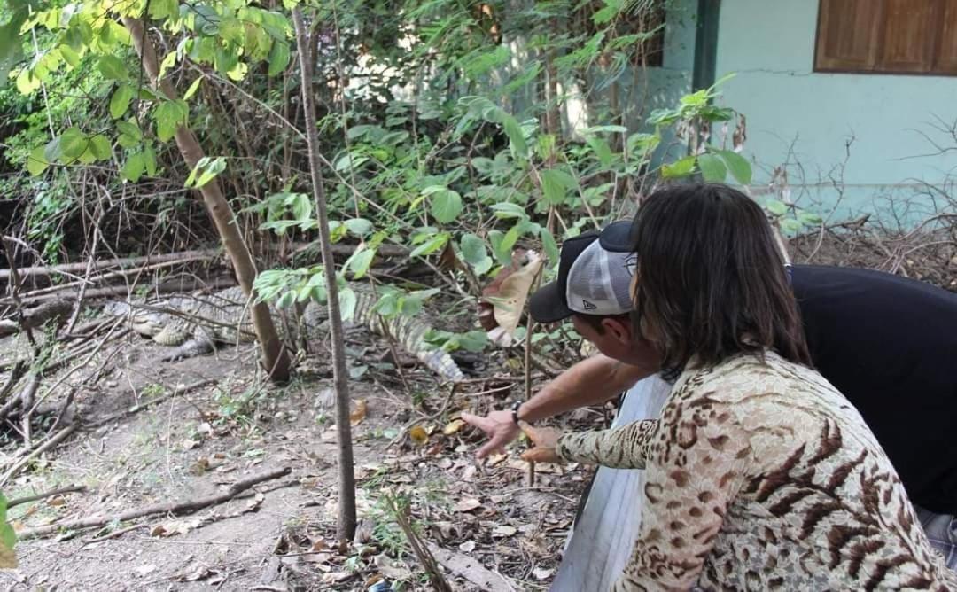 Pee Homestay Lopburi Ban Tha Krayang Екстер'єр фото